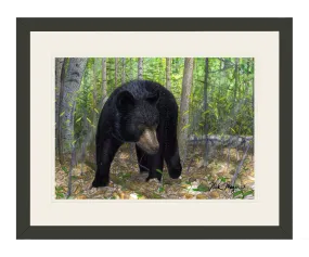 Black Bear Print