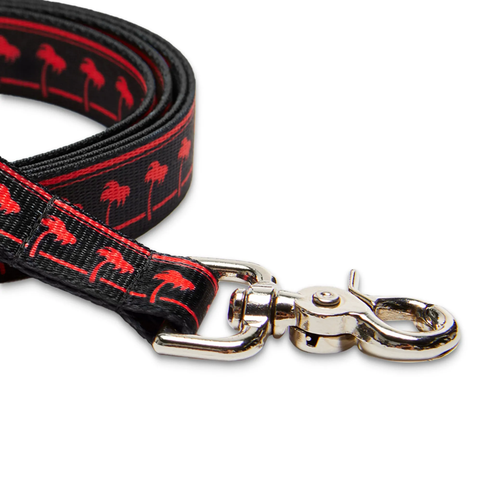 Black Dog Leash