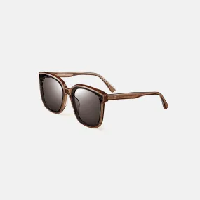 BROWN CLASSIC SUNGLASSES