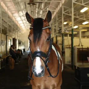 Fulham Bridle - Black Leather Anatomical Snaffle Bridle