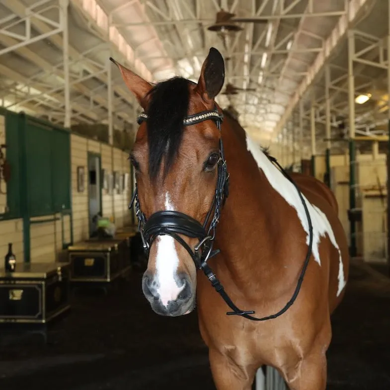 Fulham Bridle - Black Leather Anatomical Snaffle Bridle