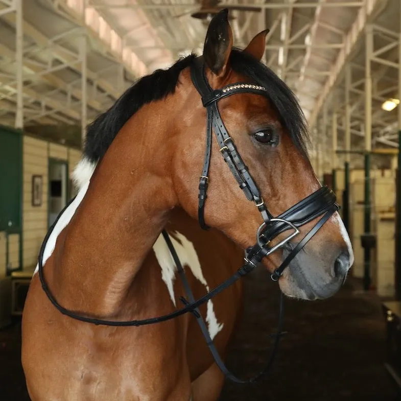 Fulham Bridle - Black Leather Anatomical Snaffle Bridle