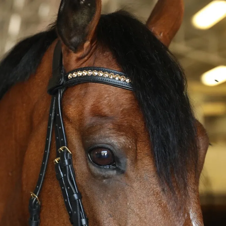 Fulham Bridle - Black Leather Anatomical Snaffle Bridle