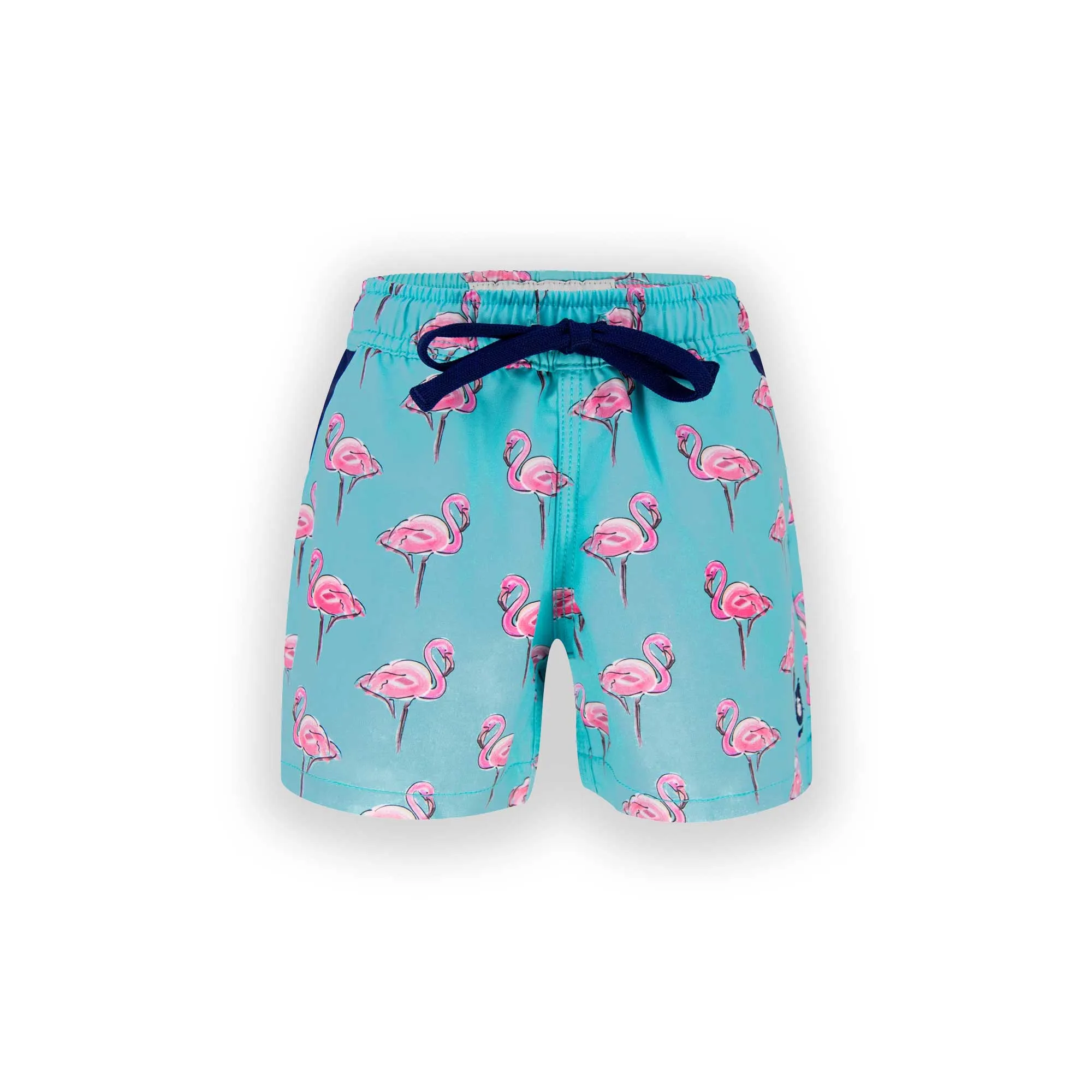 Matching Father & Son Flamingo Swim Shorts