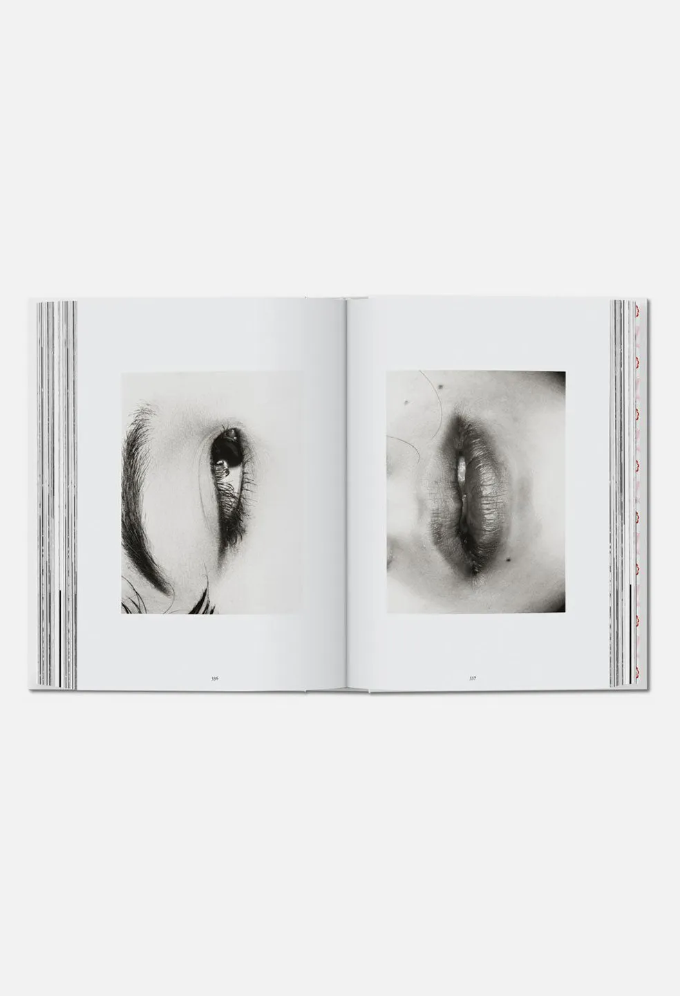 Taschen Araki 40th Edition LTD