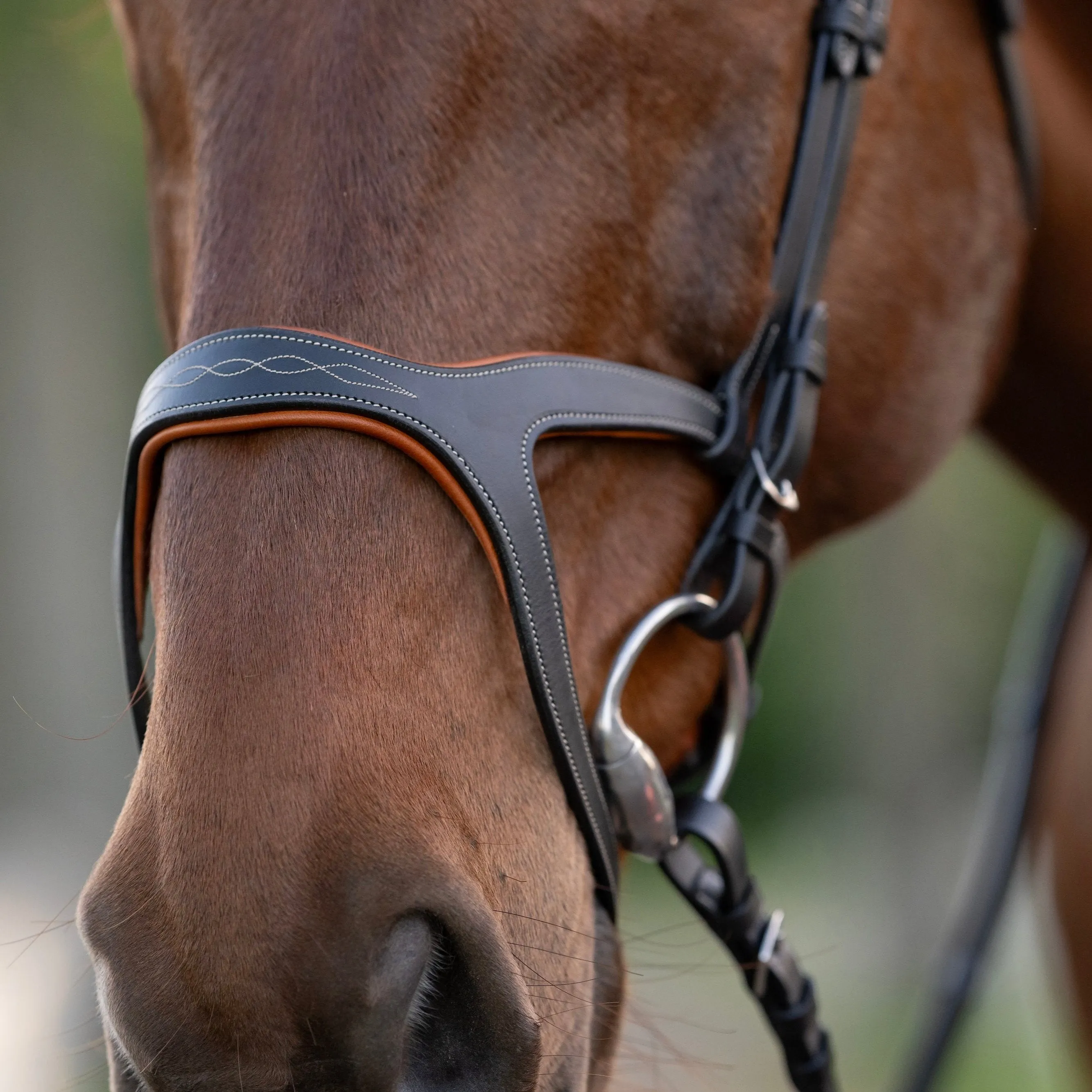 Triomphe Black Leather & Cognac Leather Snaffle Bridle